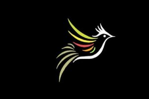 پلتفرم بلبل جان