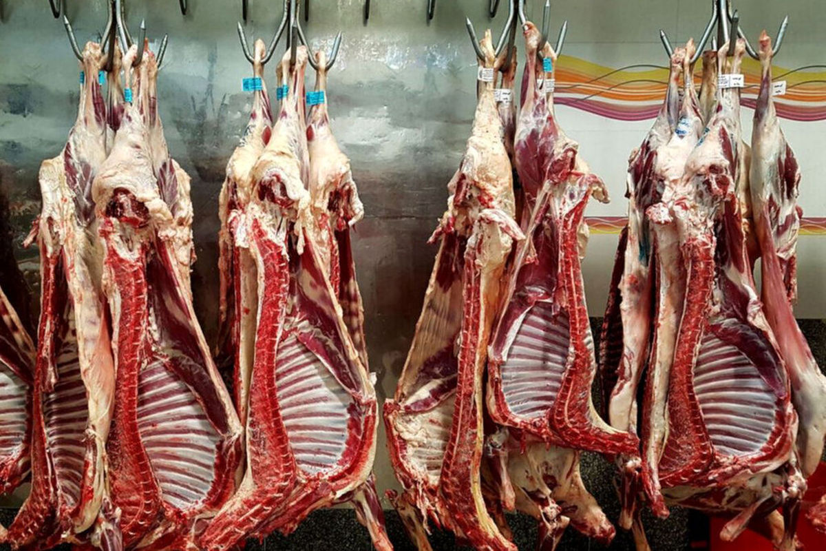 قیمت گوشت گوسفندی