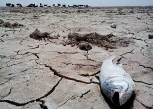 روز صفر آبی در ایران