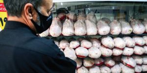 قیمت مرغ