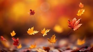 خواص آفتاب پاییزی