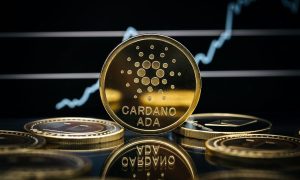 قیمت کاردانو